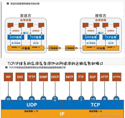 期末复习笔记第五弹 运输层 | 计算机网络系统工程服务